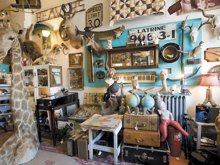 Woolly Mammoth Antiques & Oddities