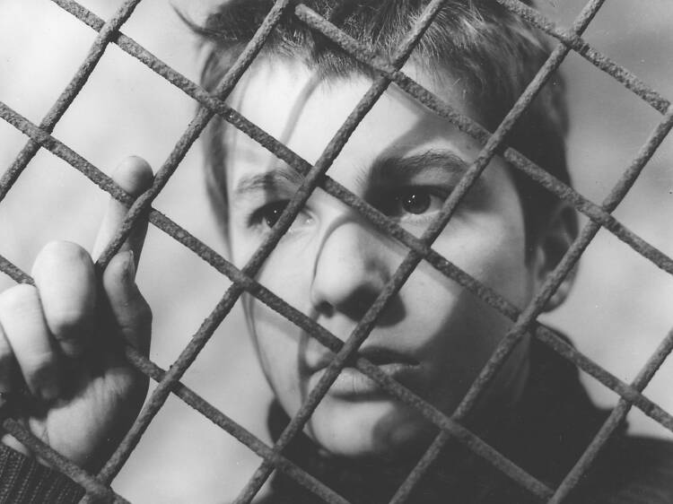 The 400 Blows (1959)