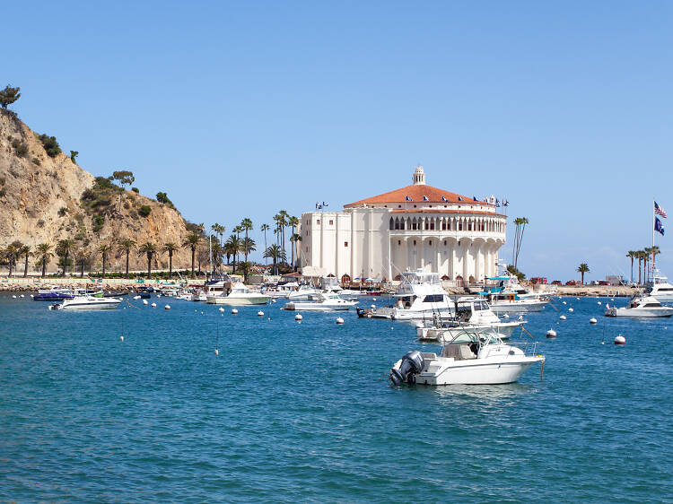 Santa Catalina Island