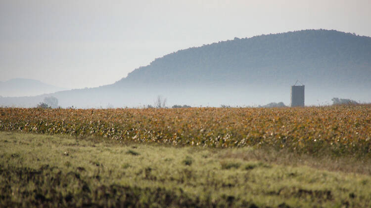 Mont Rougemont