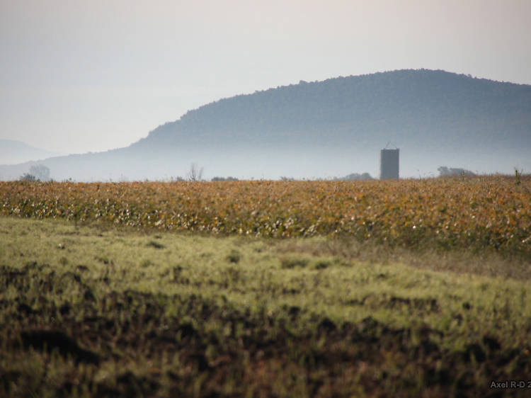 Mont Rougemont