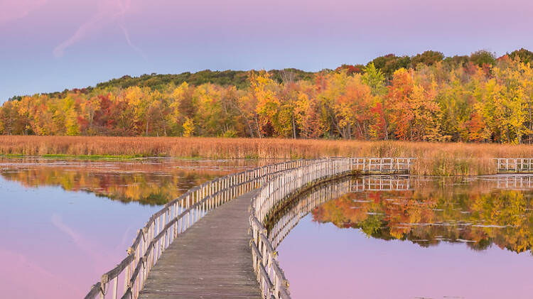 Parc national d'Oka