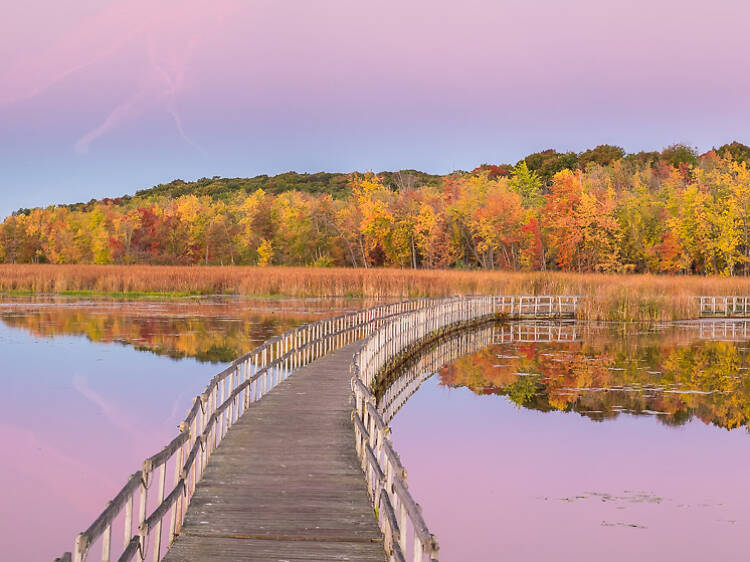 Parc national d'Oka