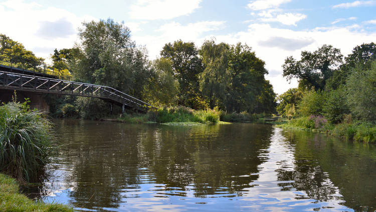 River Wey, Shalford