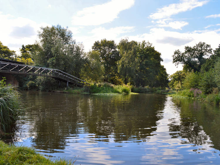 River Wey, Shalford