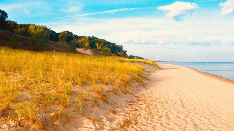 Indiana Dunes State Park