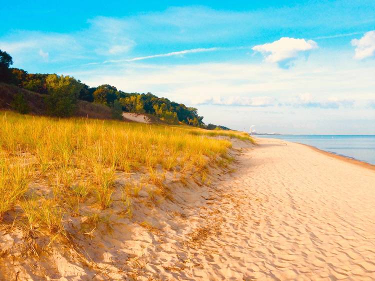 Indiana Dunes State Park