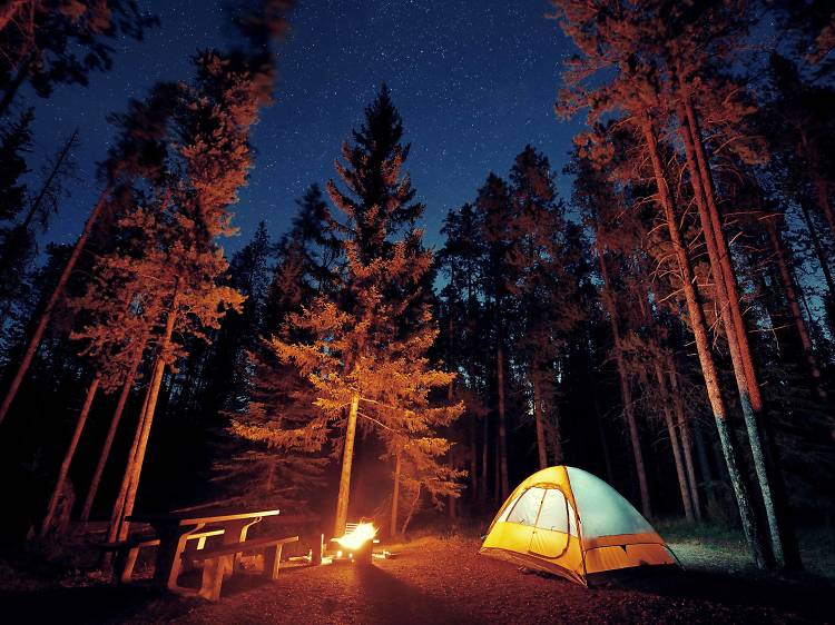 Kettle Moraine State Forest