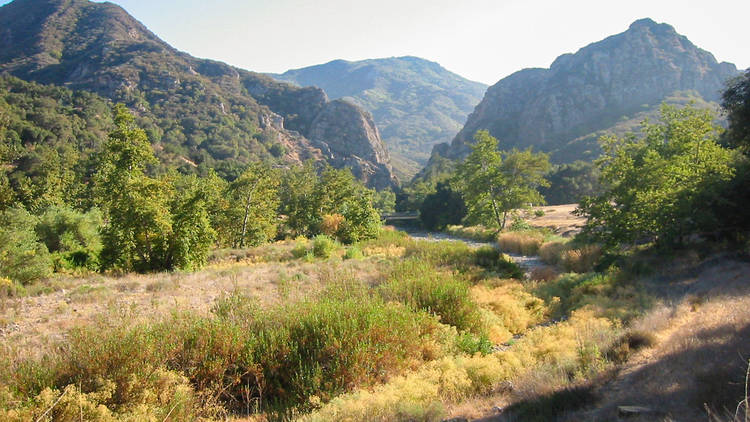 Get some fresh air at Malibu Creek State Park