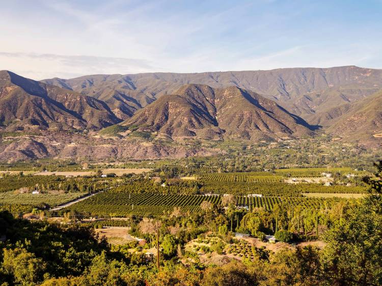 Ojai