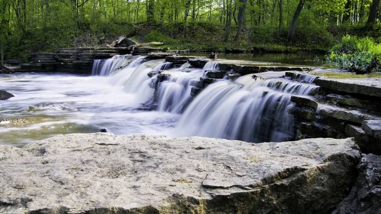 Waterfall Glen Forest Preserve