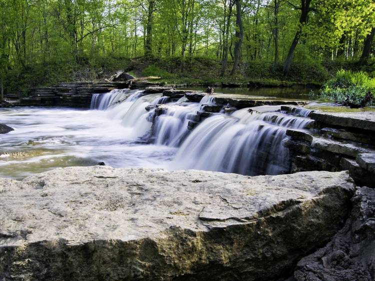 Waterfall Glen Forest Preserve