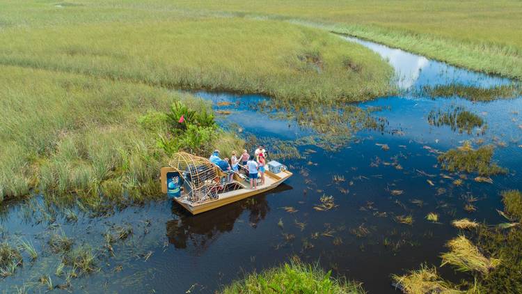 Hop on a boat tour of Everglades National Park