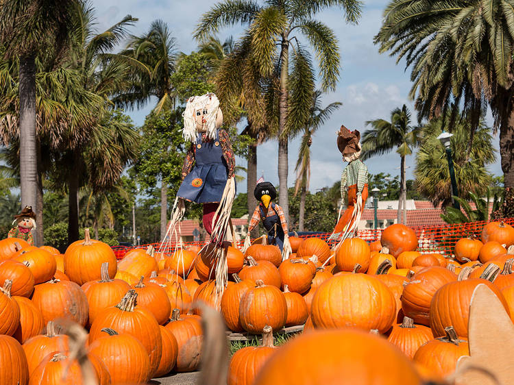 Miami fall events to mark your calendars with