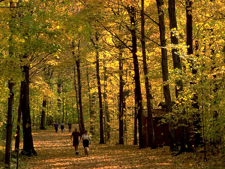 Morgan Arboretum