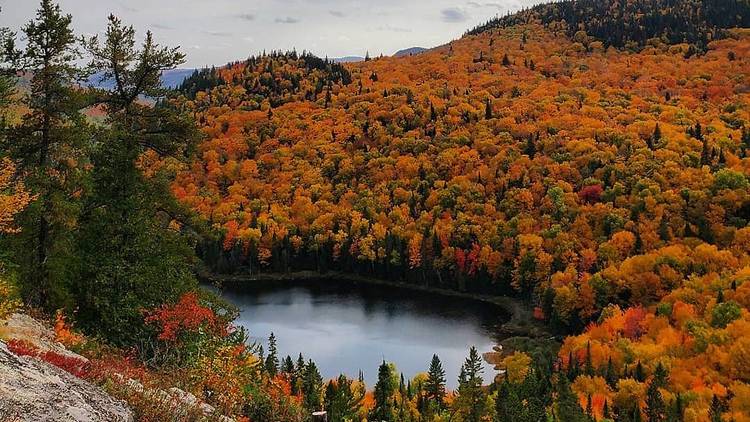 Parc d’environnement naturel de Sutton