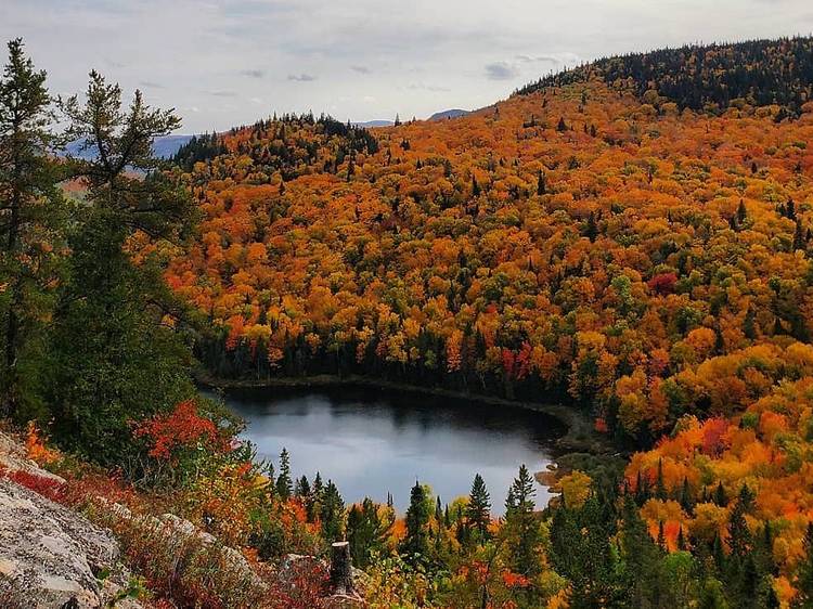 Parc d’environnement naturel de Sutton