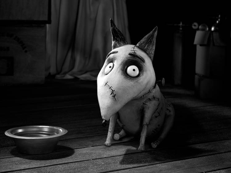 Frankenweenie (2012)