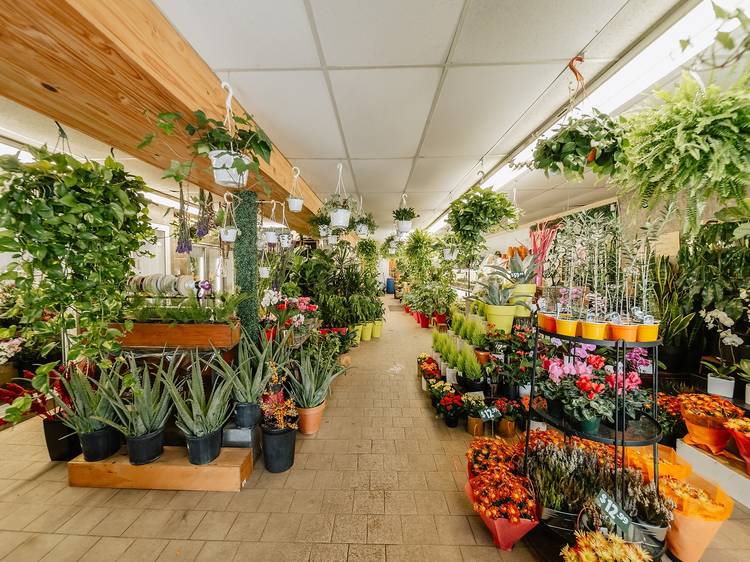 The best florists in Montreal for flower delivery and more