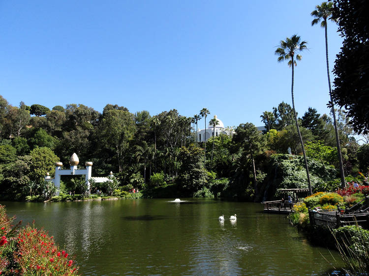 Find your zen at the Lake Shrine