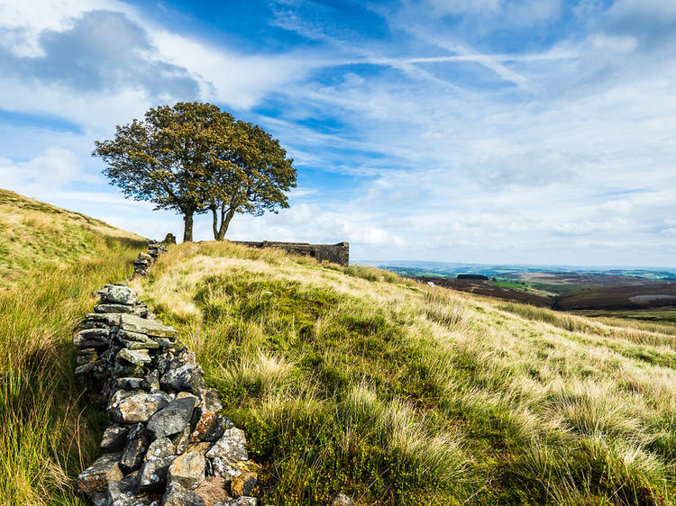 Haworth