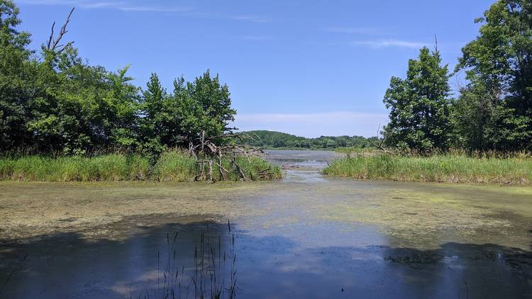 Richard Bong State Recreation Area