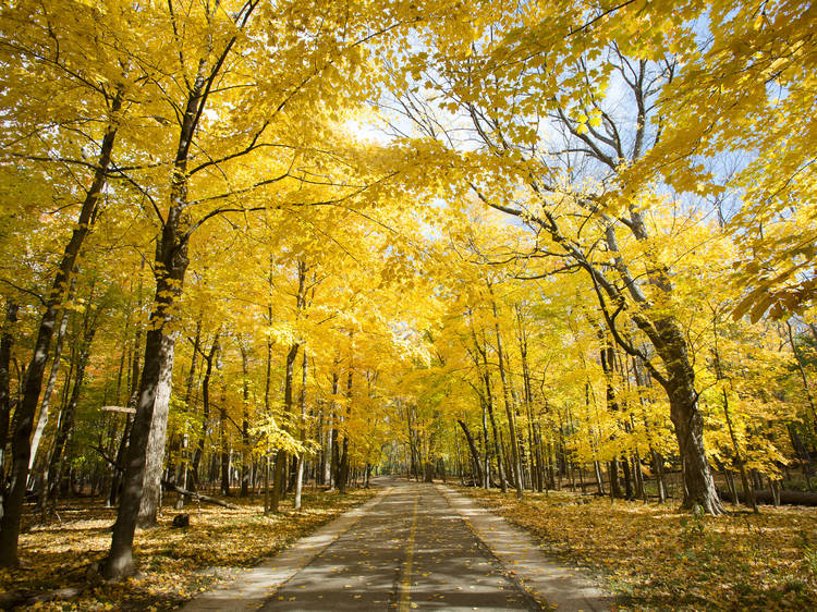 North Branch Trail