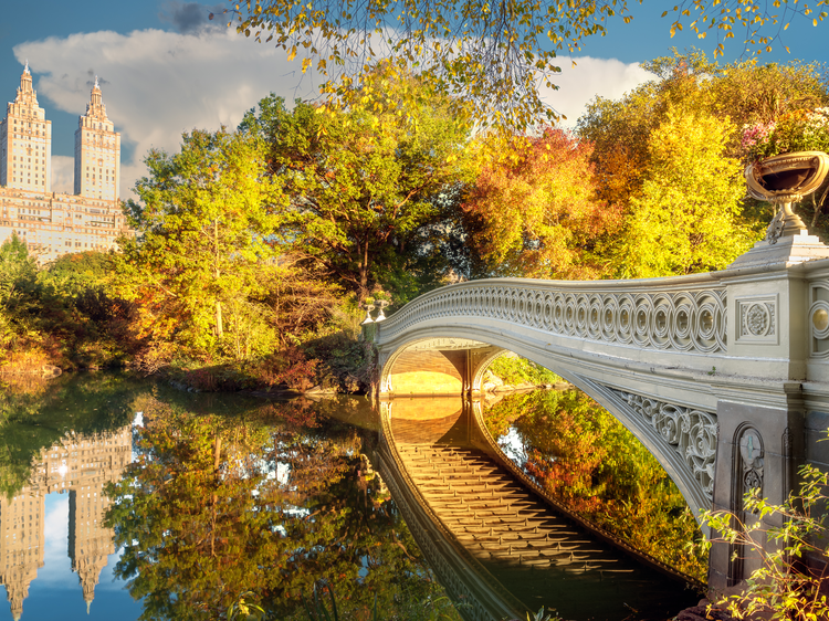 The 24 best fall activities in NYC