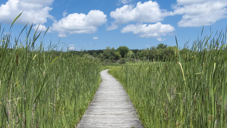 Moraine Hills State Park