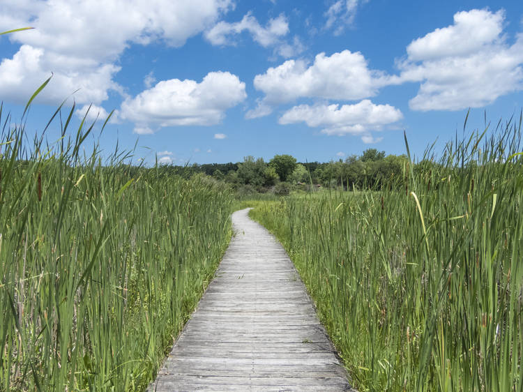 Moraine Hills State Park