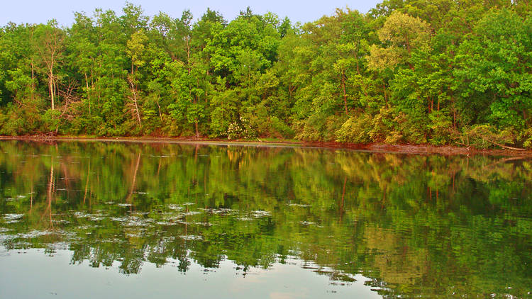 Kettle Moraine State Forest South