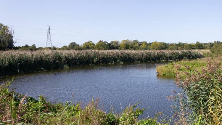 River Stour, Dedham Mill, Manningtree