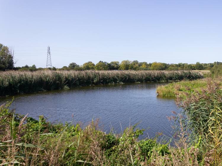 River Stour, Dedham Mill, Manningtree