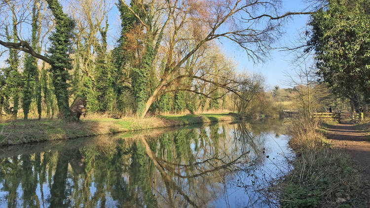 River Cam, Cambridge