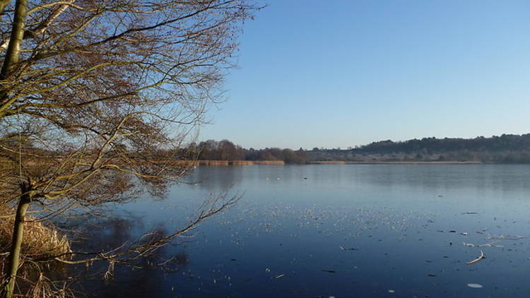 Frensham Great Pond, Frensham