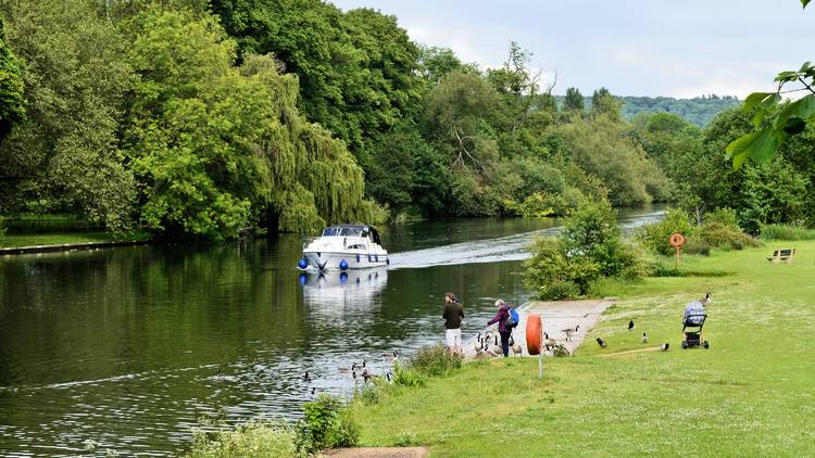 River Thames, Pangbourne Meadows