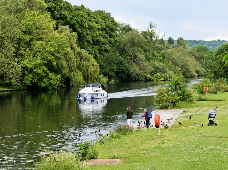 River Thames, Pangbourne Meadows