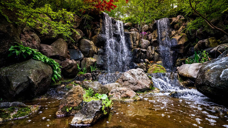 Find your zen in the Anderson Japanese Gardens