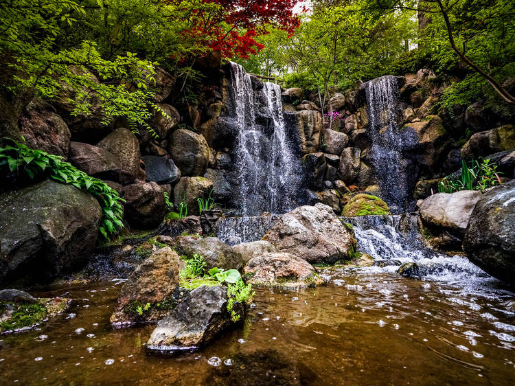 Find your zen in the Anderson Japanese Gardens