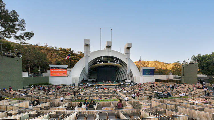 Picnic at the Hollywood Bowl