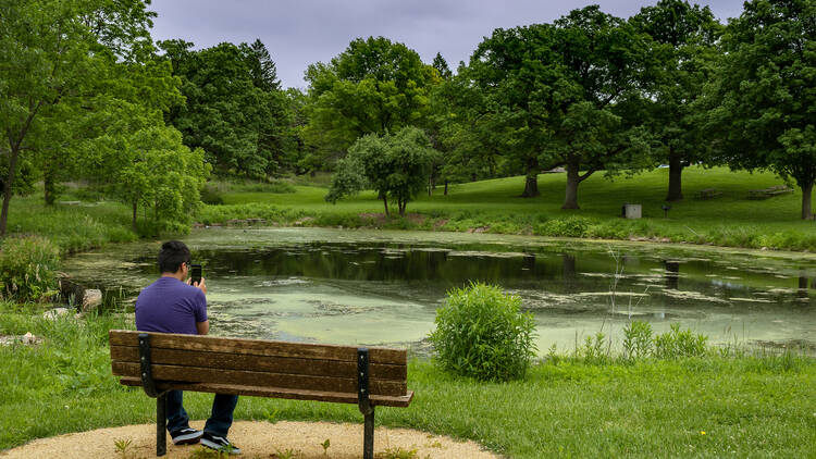 Lakewood Forest Preserve