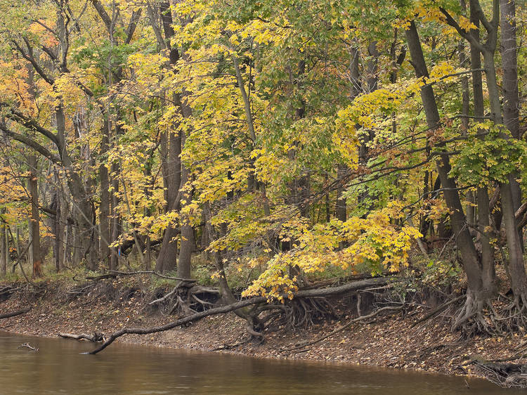 Edward L. Ryerson Conservation Area