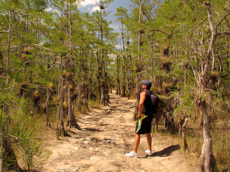 The best camping in Miami to get back to nature