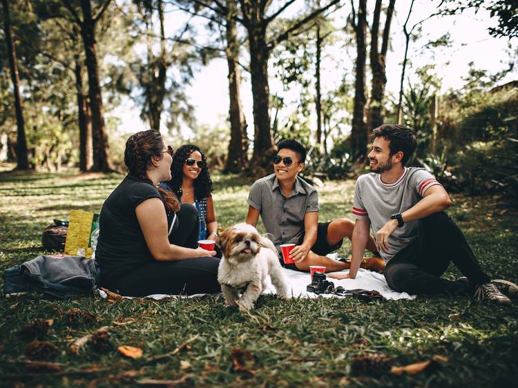 The best picnic spots in Sydney