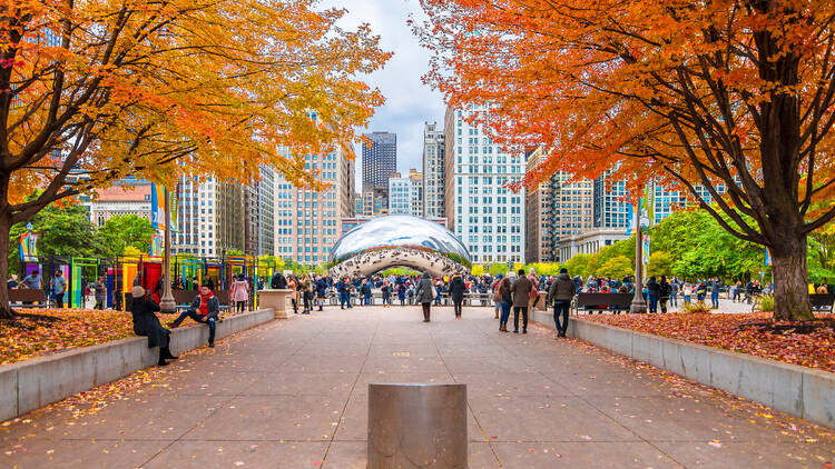 Fall activities in Chicago: The best things to do