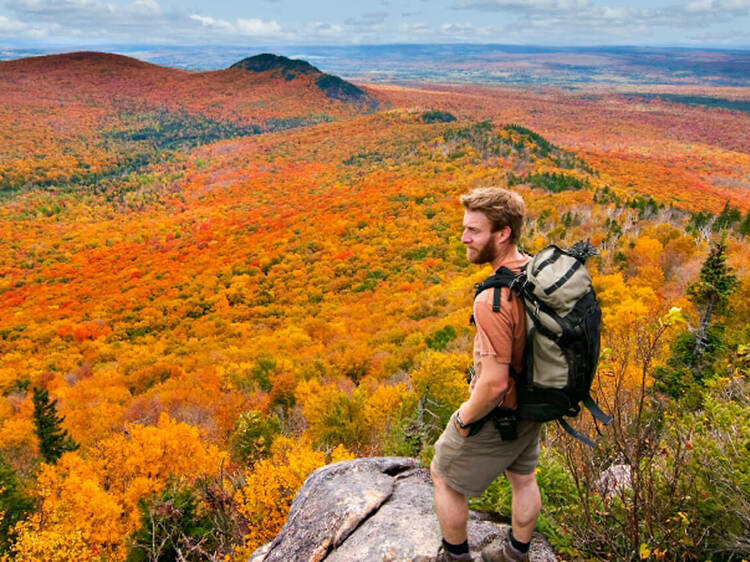 This 2024 fall foliage tracker reveals which Quebec areas are hitting peak season