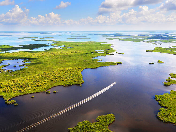 The 6 best national parks in Florida