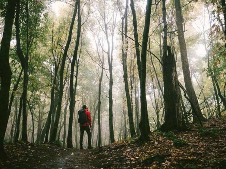 Gault Nature Reserve, Mont Saint-Hilaire