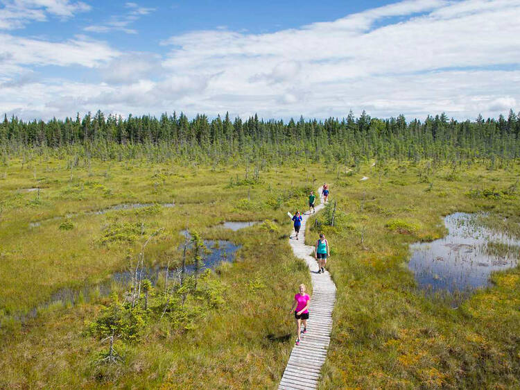 Parc national de Frontenac