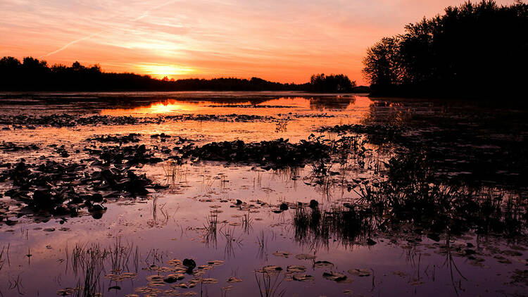 Parc national de Plaisance